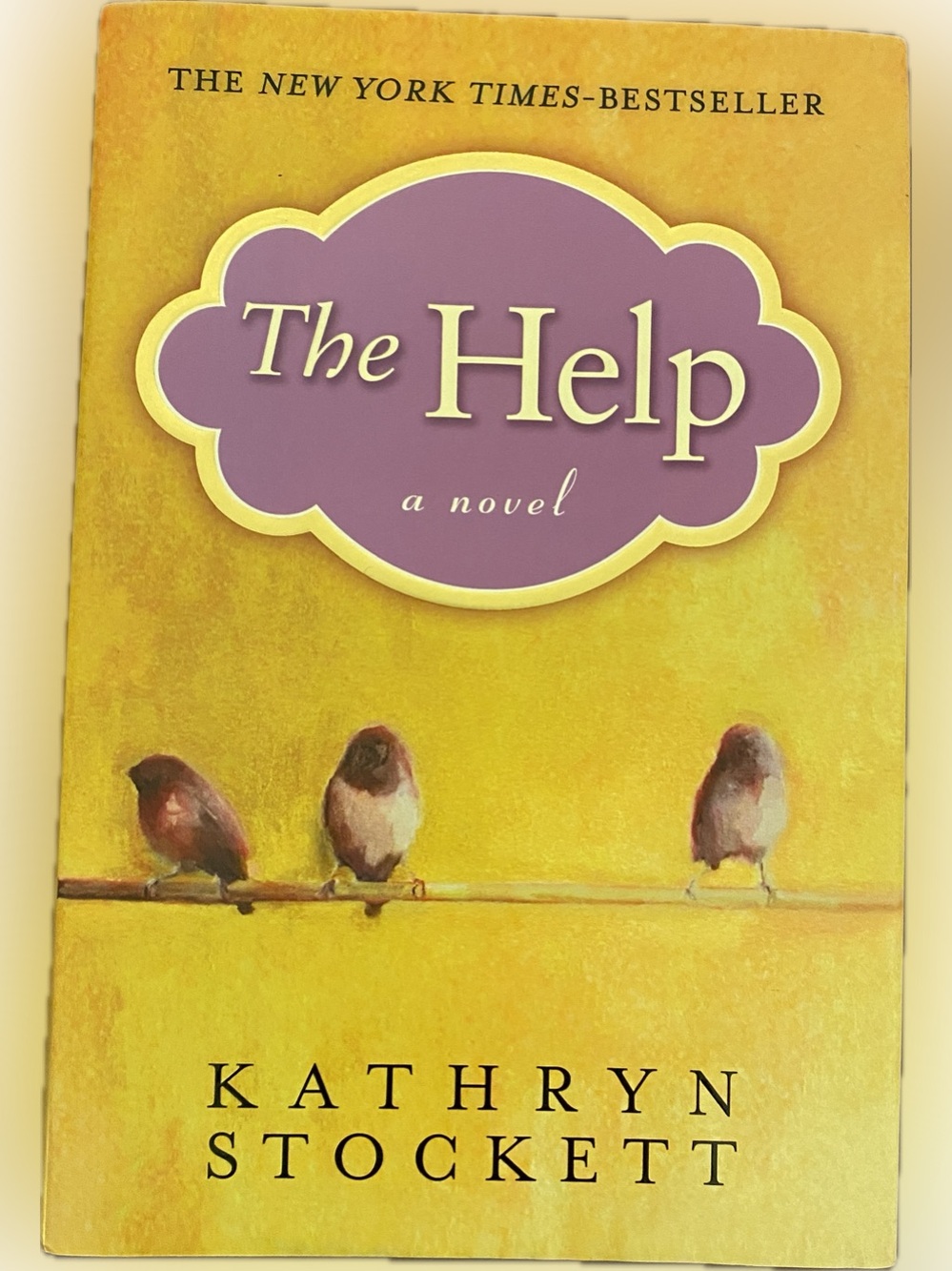 💰Acclaimed Blockbuster “The Help”💰
